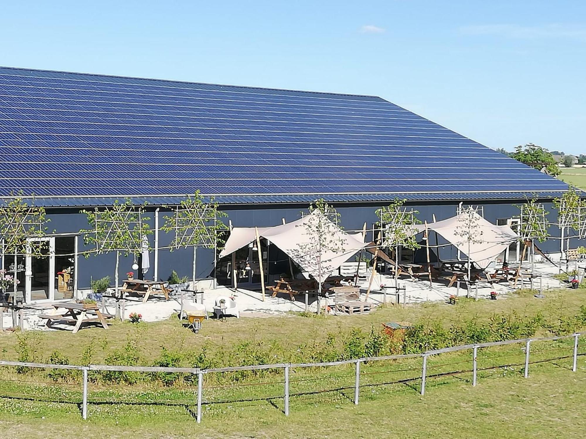 De Hazelaarshof Luxe Glampingtent Bij Natuurgebied De Millingerwaard Kekerdom 외부 사진